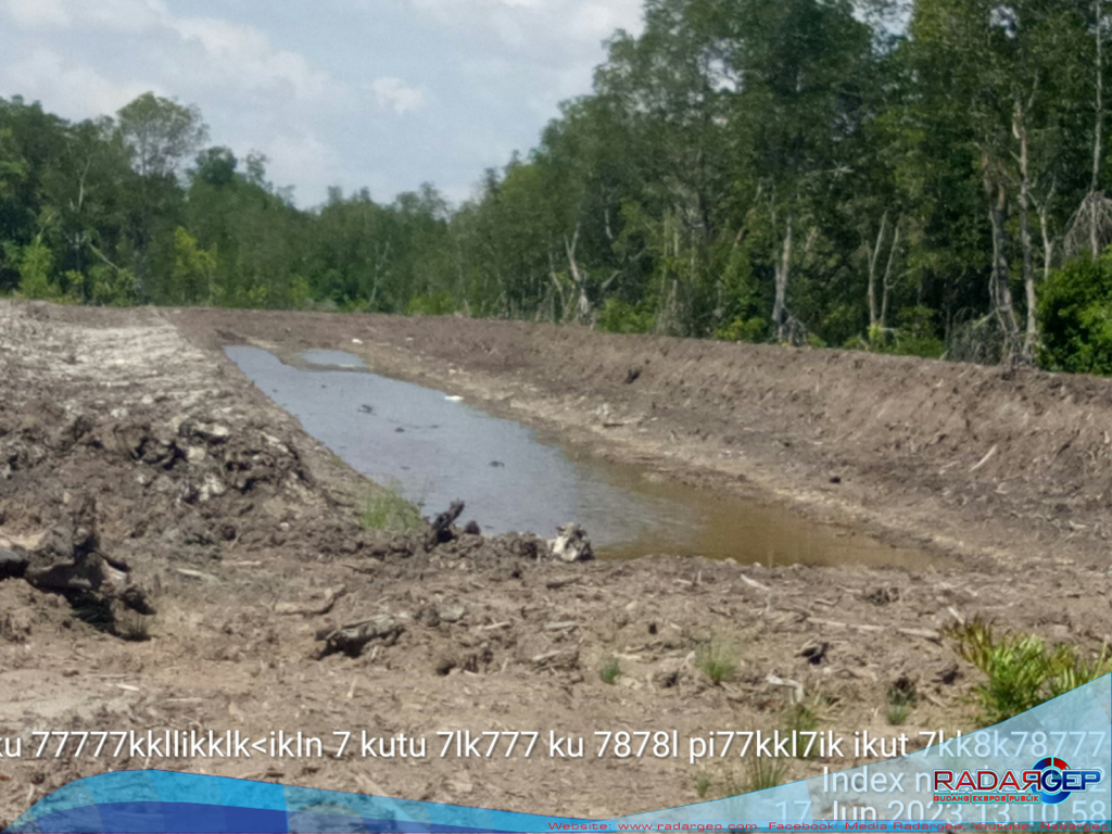 Pengusaha Tambak Udang di Desa Penampi Rusak Hutan Mangrove